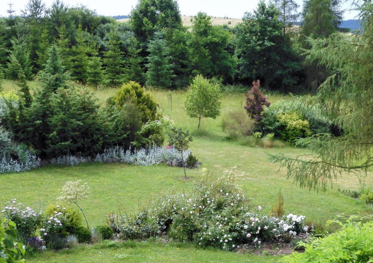 Villa Orlik Barlinek Dış mekan fotoğraf