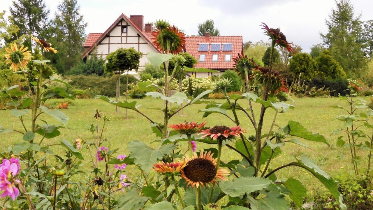 Villa Orlik Barlinek Dış mekan fotoğraf