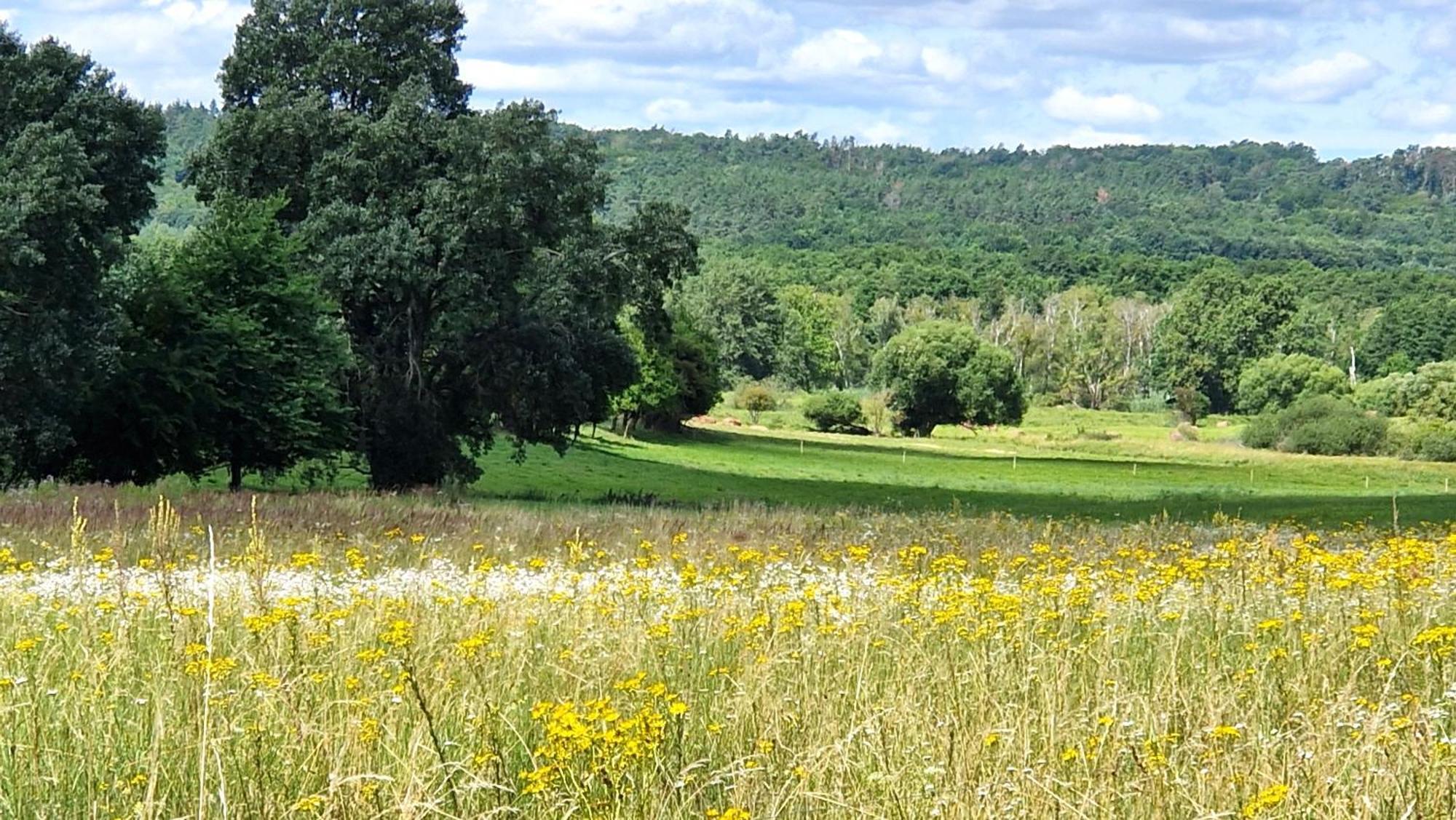 Villa Orlik Barlinek Dış mekan fotoğraf