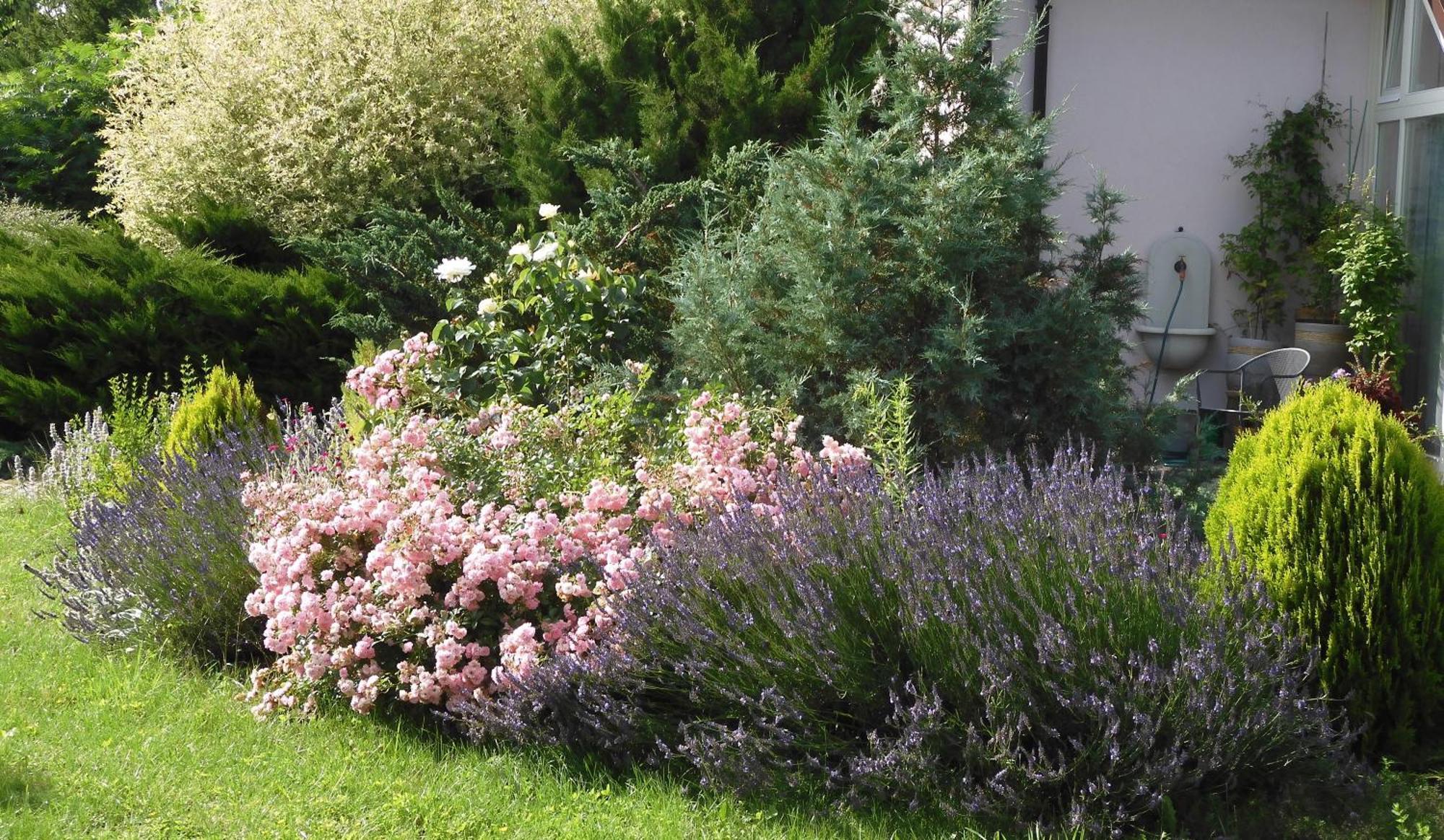 Villa Orlik Barlinek Dış mekan fotoğraf