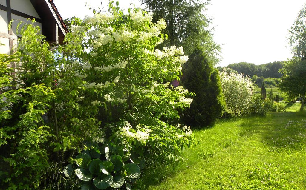 Villa Orlik Barlinek Dış mekan fotoğraf