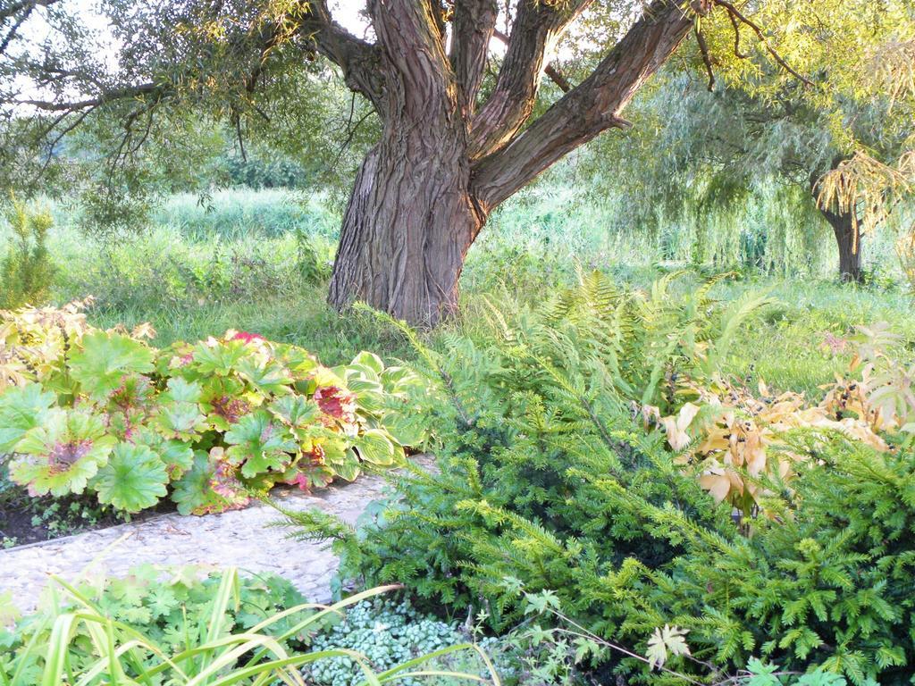 Villa Orlik Barlinek Dış mekan fotoğraf