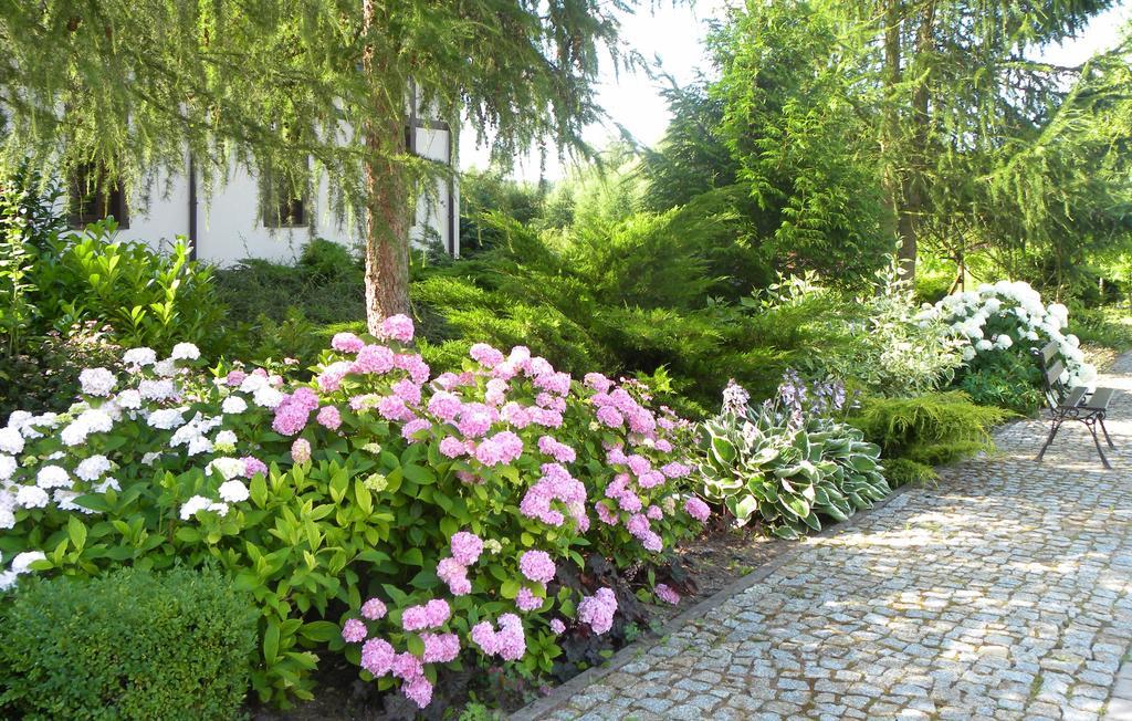 Villa Orlik Barlinek Dış mekan fotoğraf