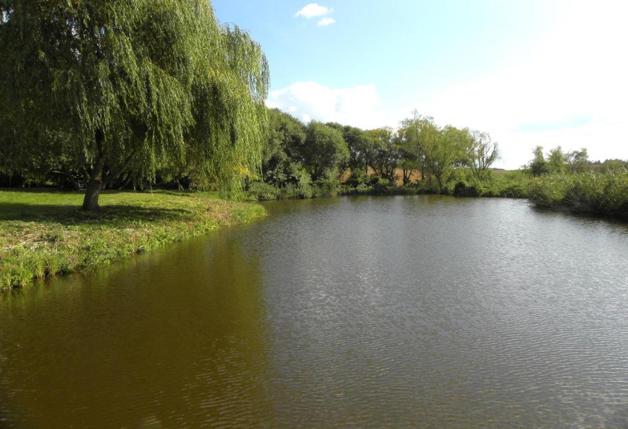 Villa Orlik Barlinek Dış mekan fotoğraf