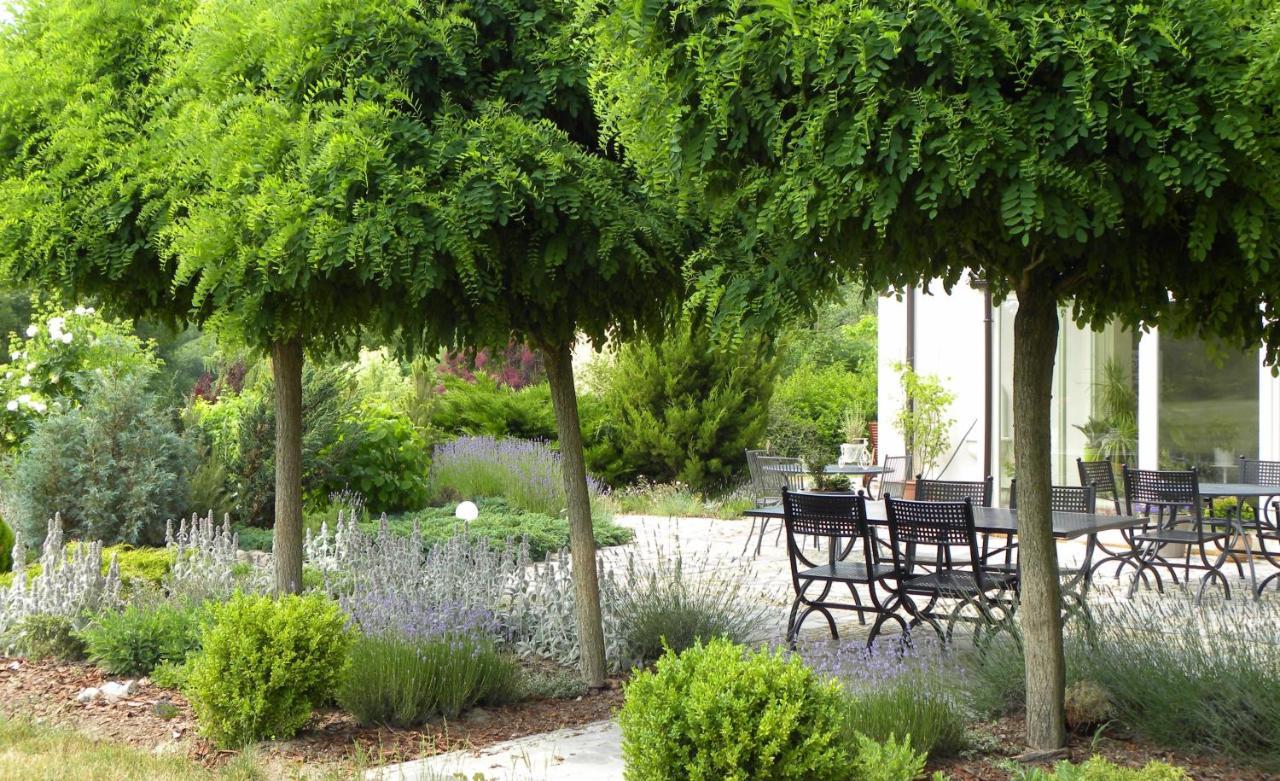 Villa Orlik Barlinek Dış mekan fotoğraf