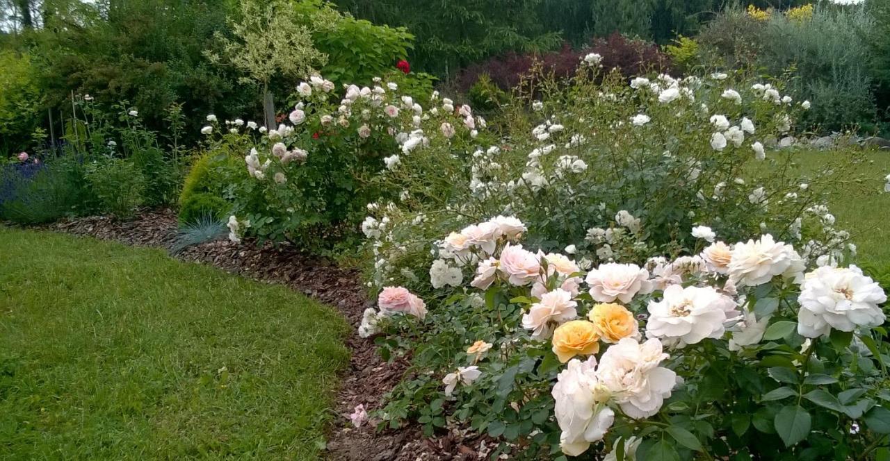 Villa Orlik Barlinek Dış mekan fotoğraf